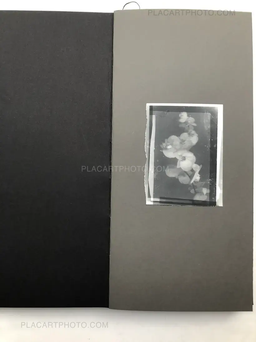 THE GRAY LINE (ARTIST'S EDITION OF 11)