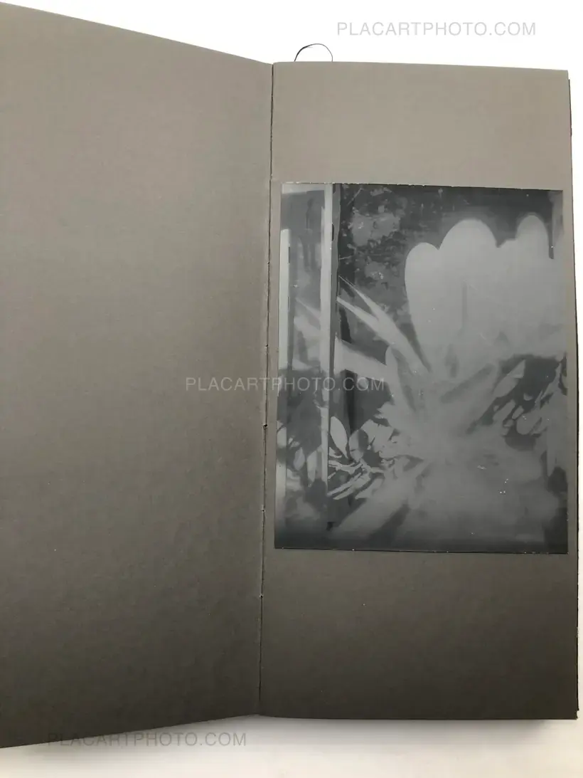 THE GRAY LINE (ARTIST'S EDITION OF 11)