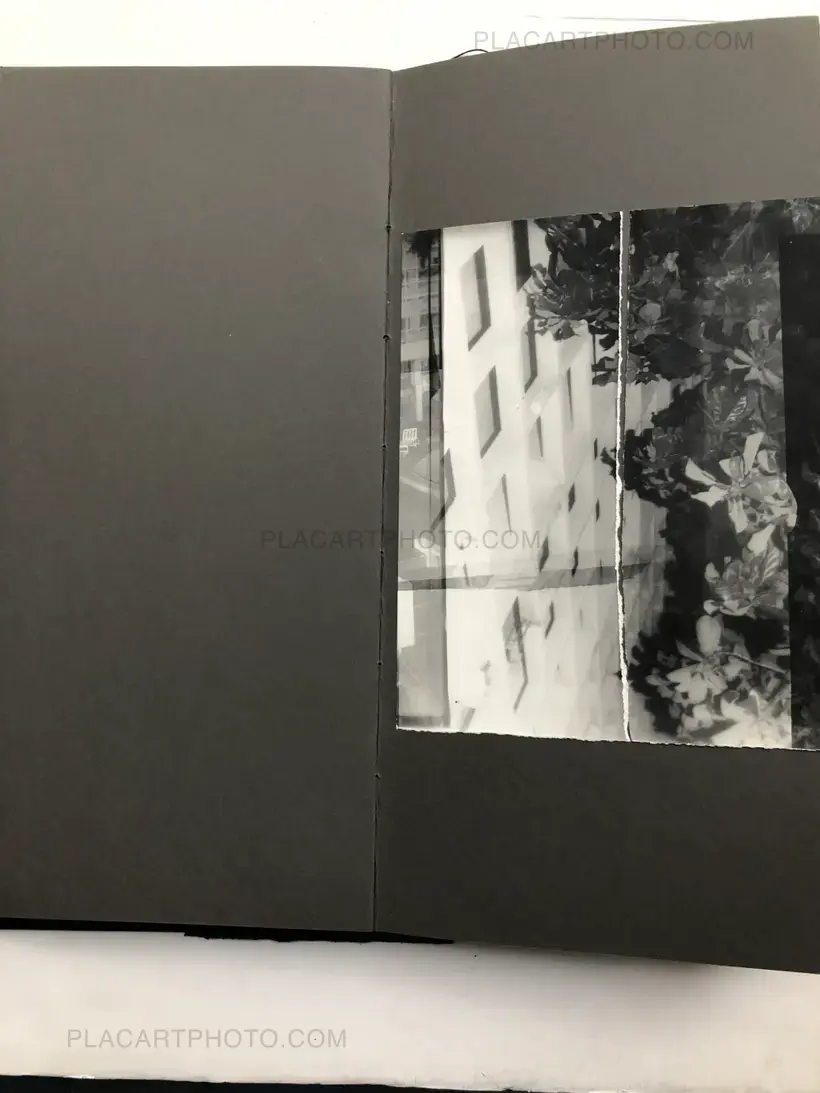 THE GRAY LINE (ARTIST'S EDITION OF 11)