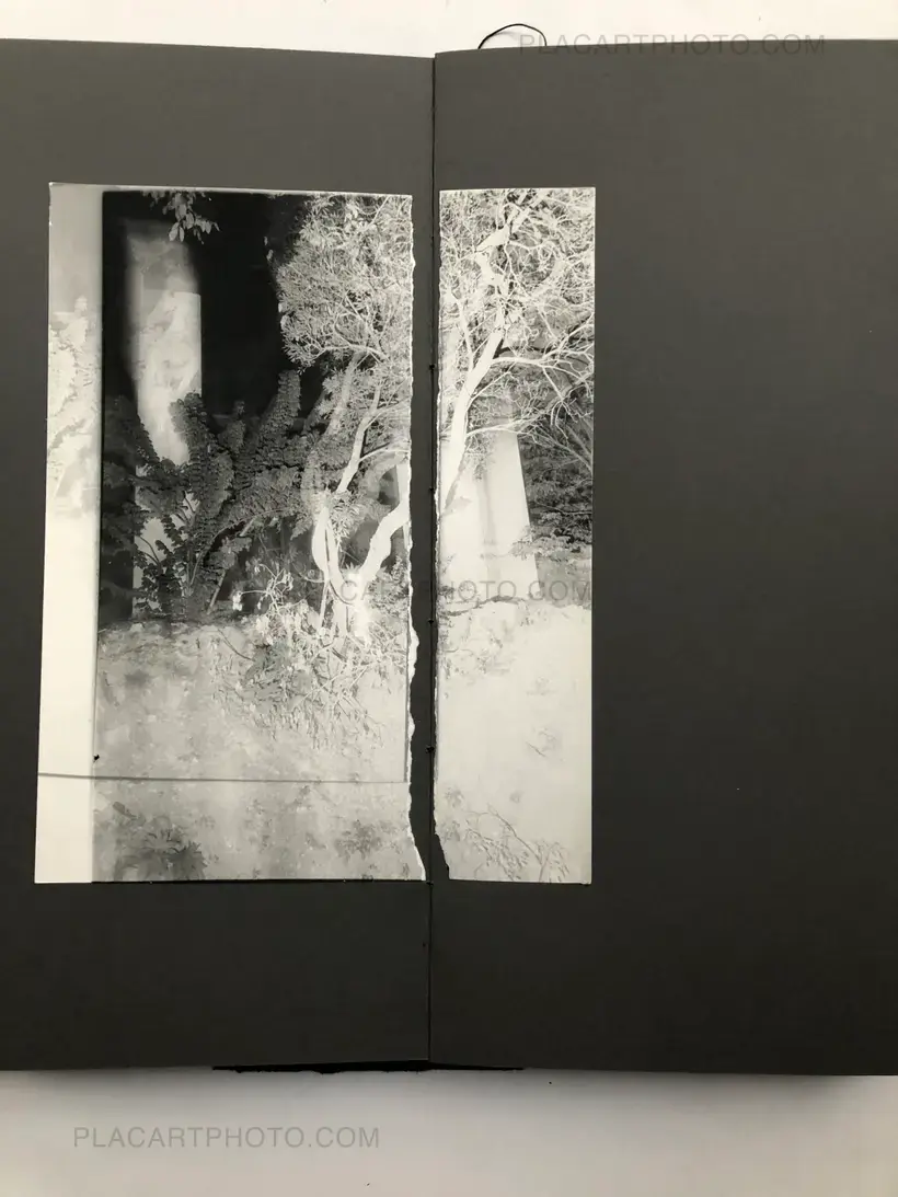 THE GRAY LINE (ARTIST'S EDITION OF 11)