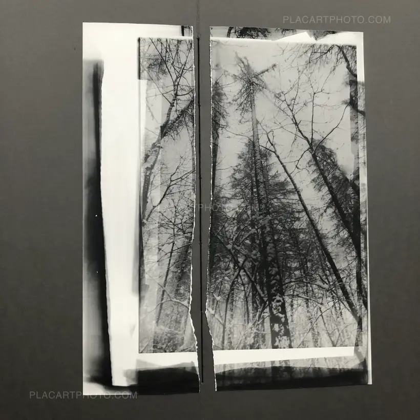 THE GRAY LINE (ARTIST'S EDITION OF 11)