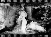 Farewell photography (signed)