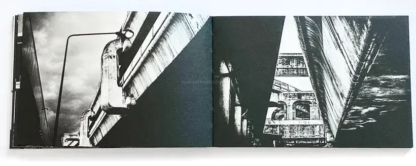 OUT OF THE DARKNESS (Signed and numbered with print)