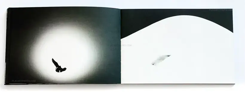 OUT OF THE DARKNESS (Signed and numbered with print)