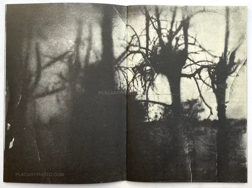 THERE IS SHIFTING THE SKY REPEATING STAIRSWAY, AGAIN (Signed)