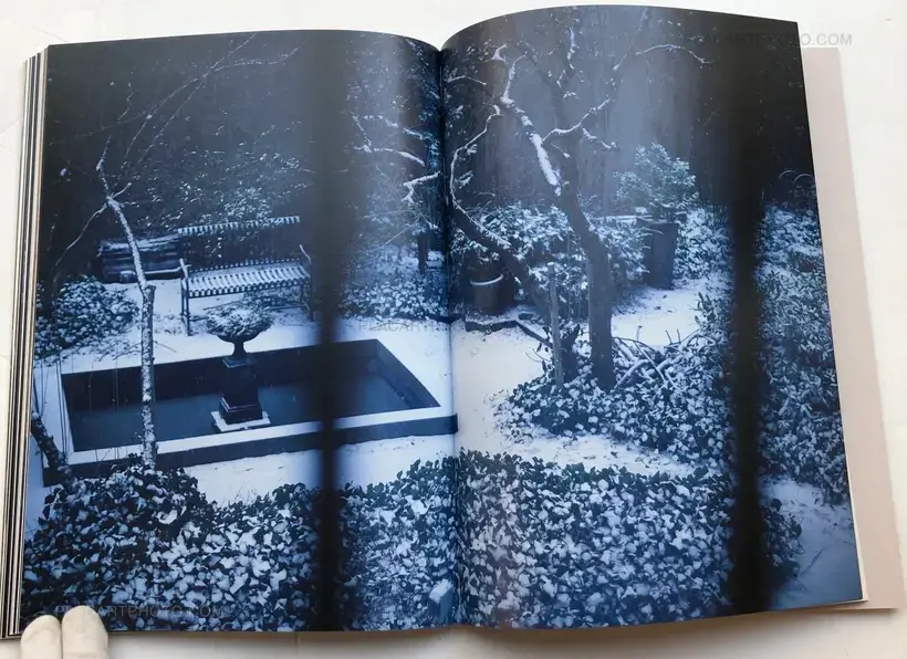 SAUL LEITER IN STILLNESS