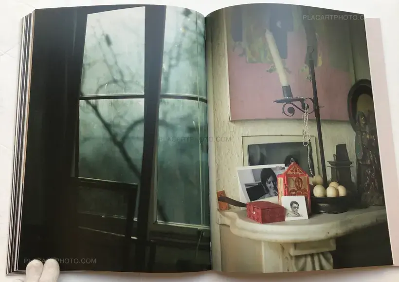 SAUL LEITER IN STILLNESS