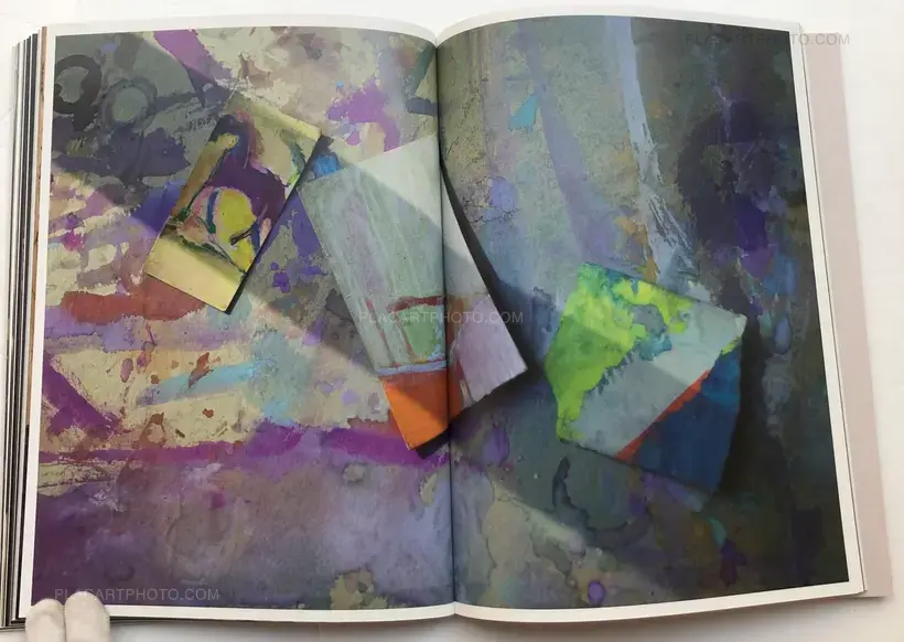 SAUL LEITER IN STILLNESS