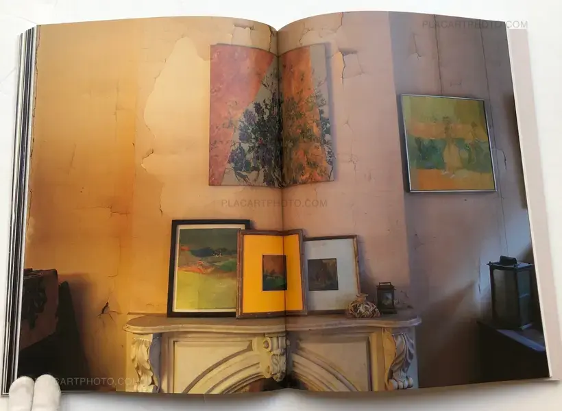 SAUL LEITER IN STILLNESS