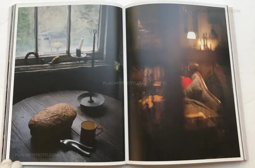 SAUL LEITER IN STILLNESS