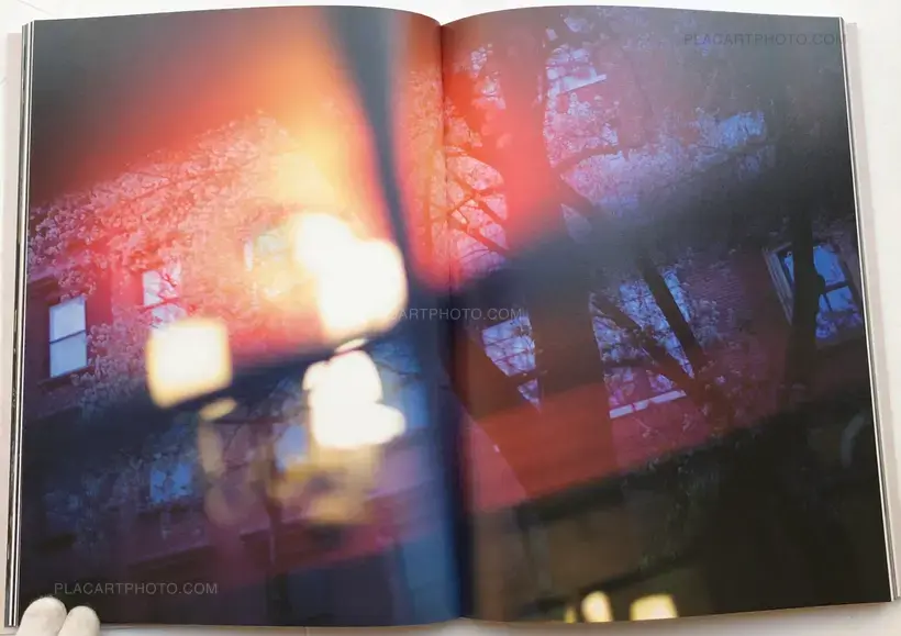 SAUL LEITER IN STILLNESS