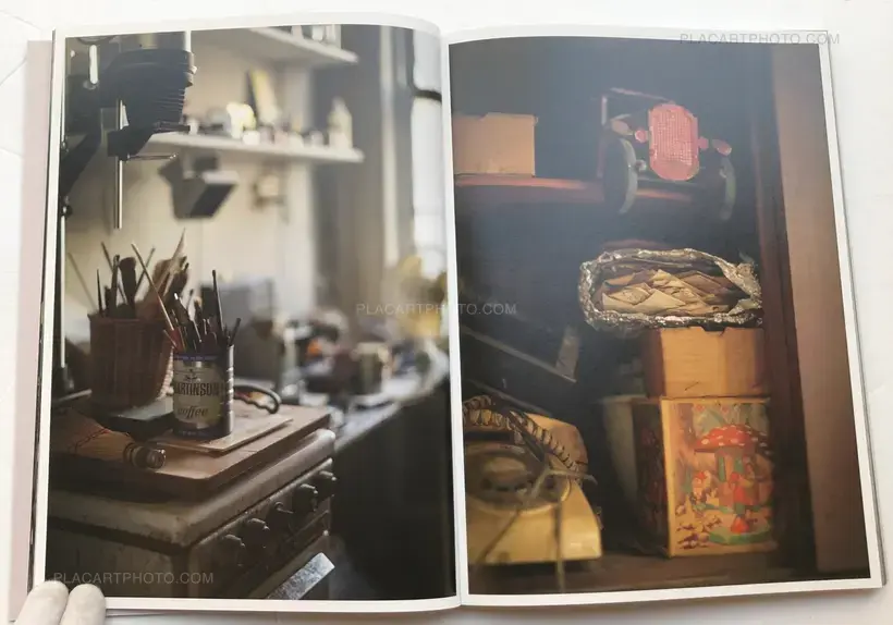 SAUL LEITER IN STILLNESS