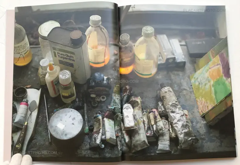 SAUL LEITER IN STILLNESS