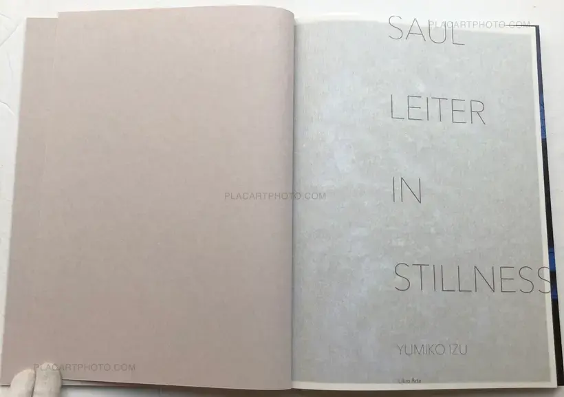 SAUL LEITER IN STILLNESS