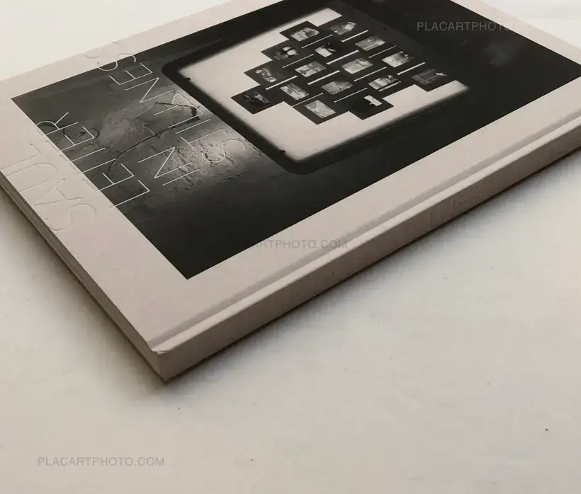 SAUL LEITER IN STILLNESS