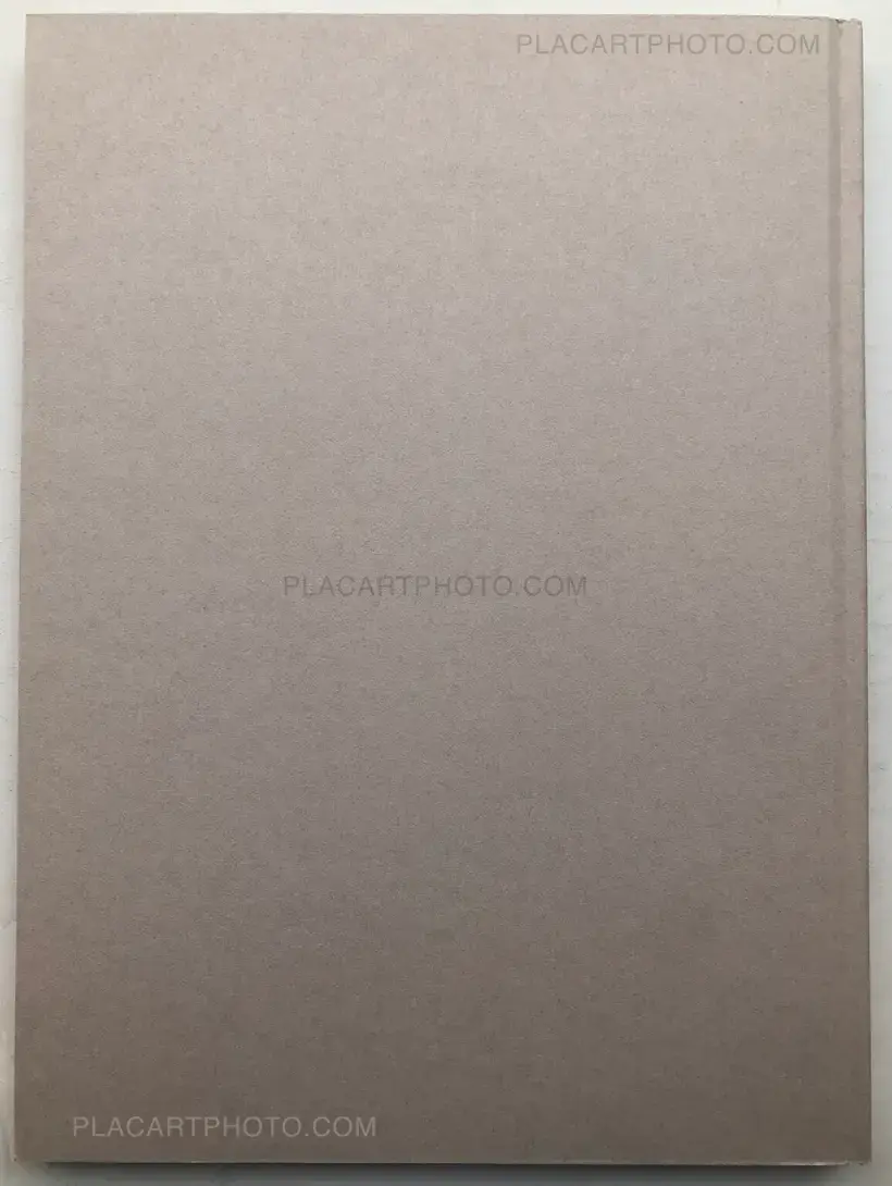 SAUL LEITER IN STILLNESS