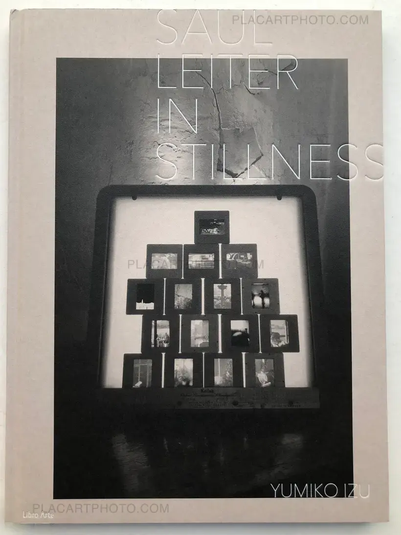 SAUL LEITER IN STILLNESS