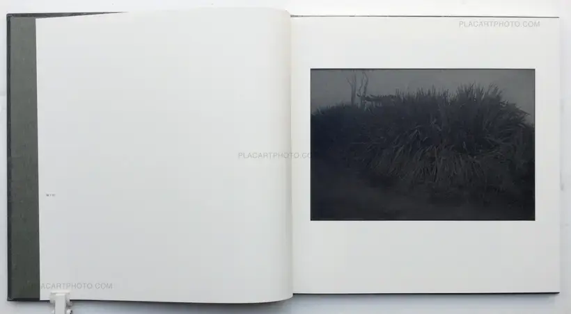 Shimakage/ Island shadow (Signed)