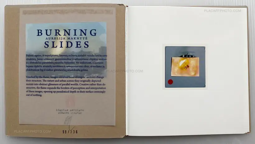 BURNING SLIDES (Signed)