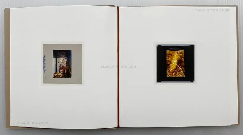 BURNING SLIDES (Signed)