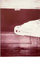 BB (Signed edt of 50)