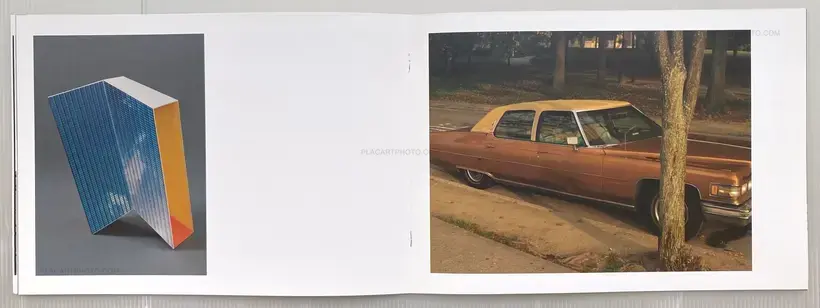 FOR THE SAKE OF FUTURE DAYS