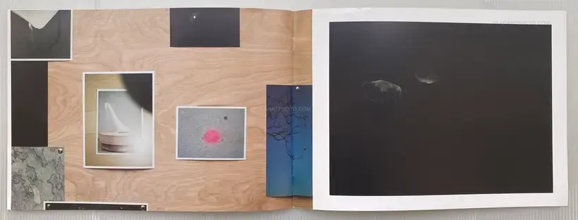 FOR THE SAKE OF FUTURE DAYS