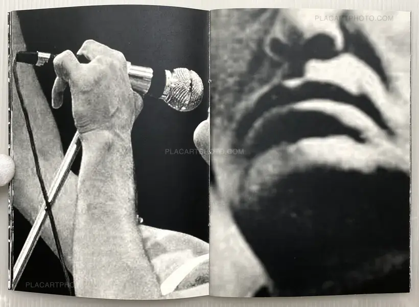 THE STARS - nobody in particular