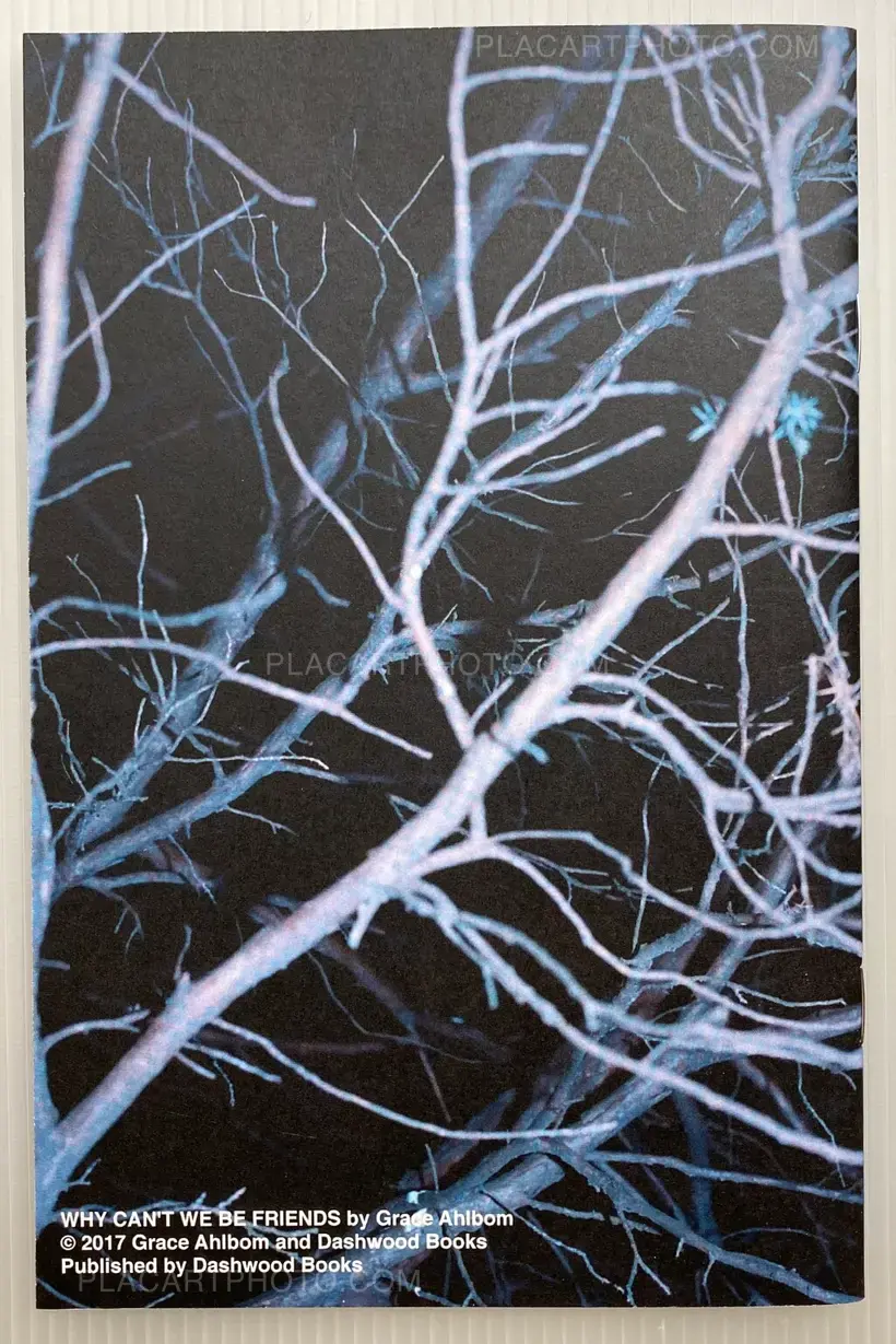 WHY CAN'T WE BE FRIENDS