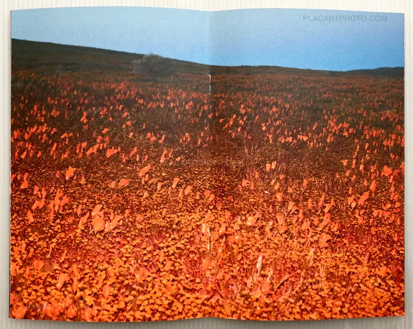 WHY CAN'T WE BE FRIENDS