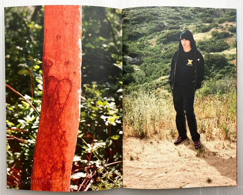 WHY CAN'T WE BE FRIENDS