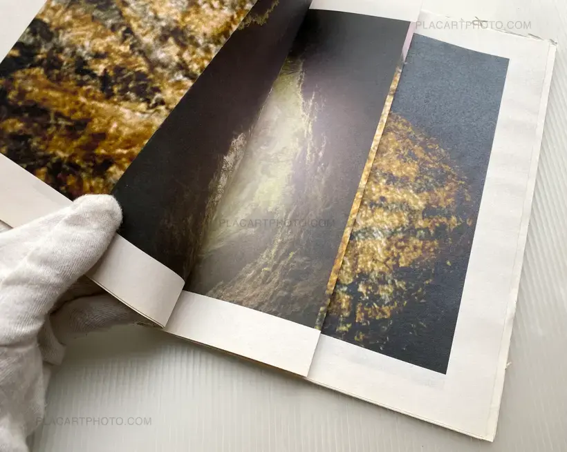 Cette façon qu'elle avait d'habiter tout son corps