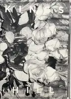 KING HILLS (Edt of 50)