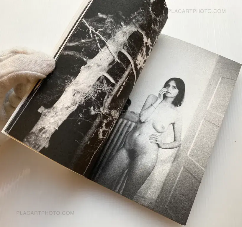 Hoodlums and vagabonds