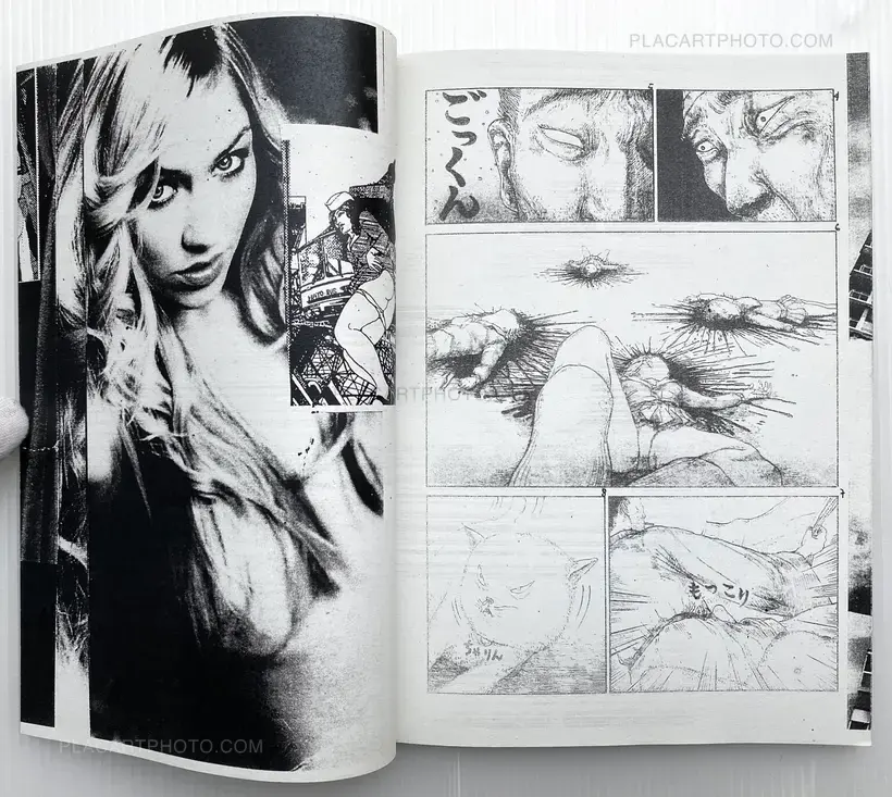 Lili Rose Pink Paradise