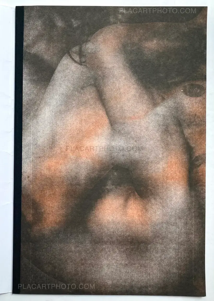 Cuando el tren se detuvo...