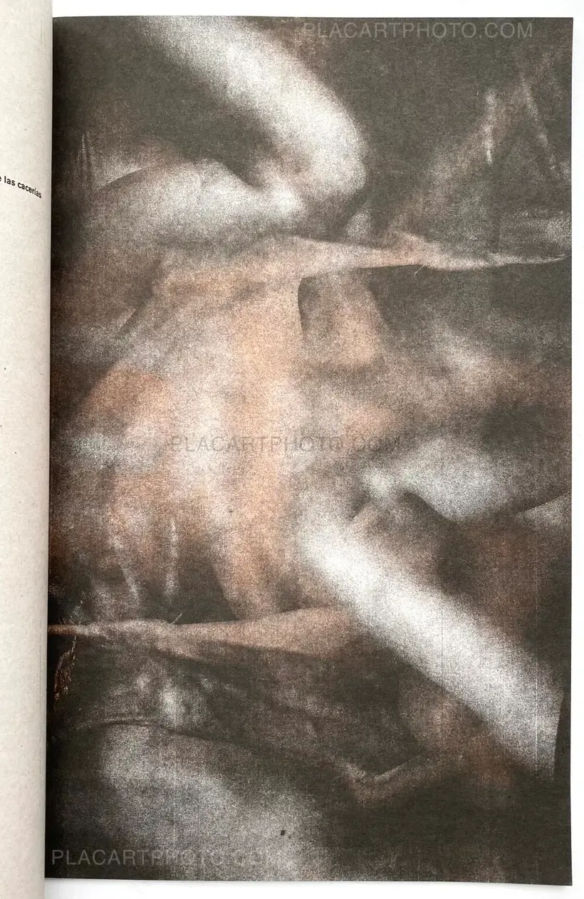 Cuando el tren se detuvo...