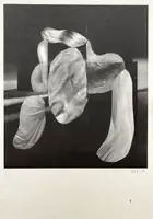 SP058 Fruits of Yesterday’s Harvest