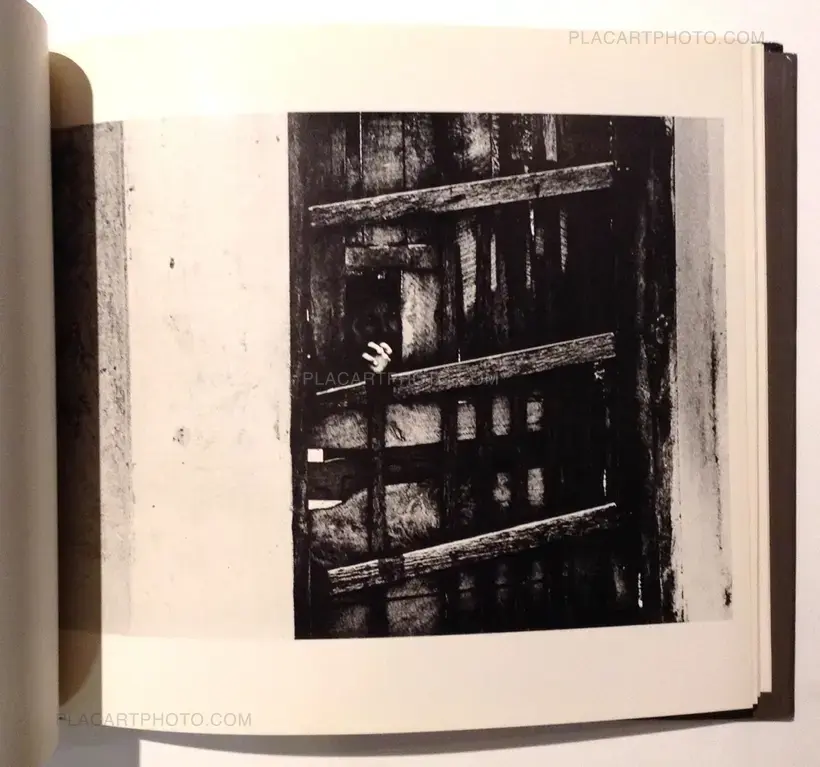 The Light that has lighted the world (Signed)