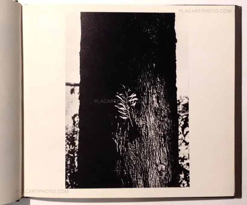 The Light that has lighted the world (Signed)