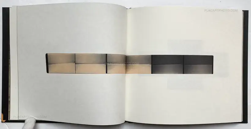 FLOWERS BLOOM, BUTTERFLIES COME (SIGNED)