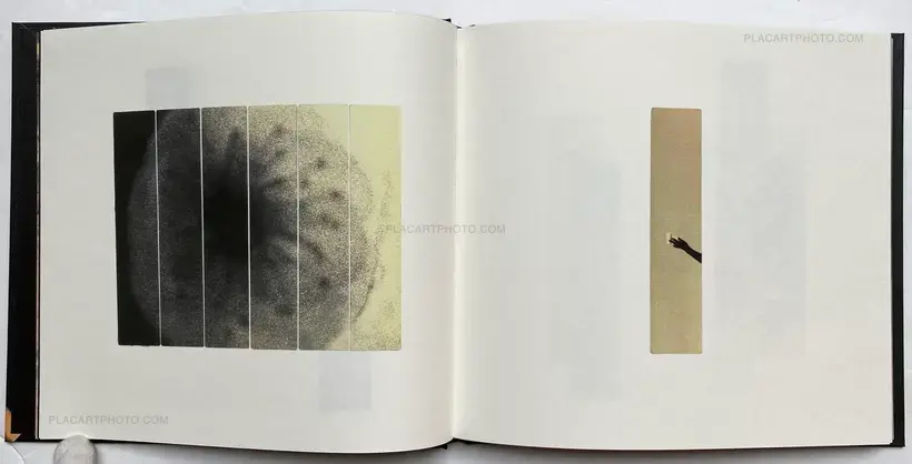 FLOWERS BLOOM, BUTTERFLIES COME (SIGNED)