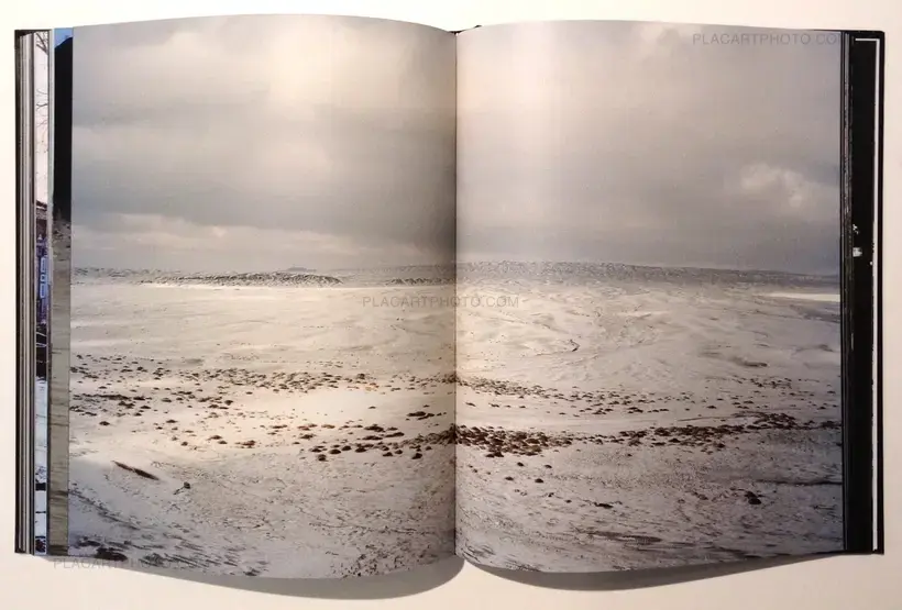 Smell of tiger precedes tiger