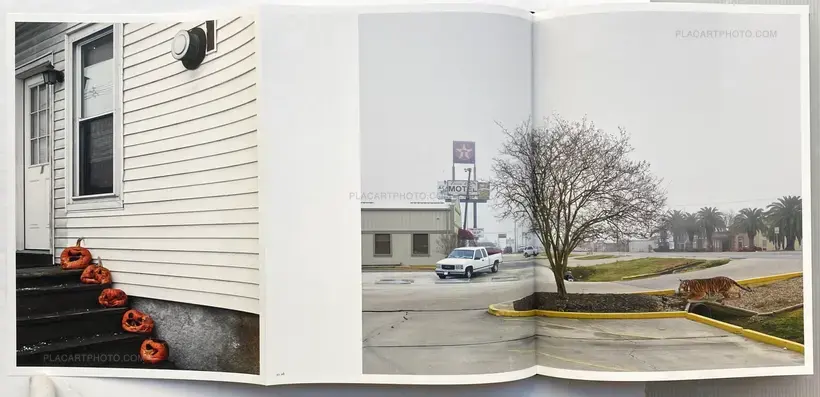 Good Morning, America (Volume III) (Signed copy)