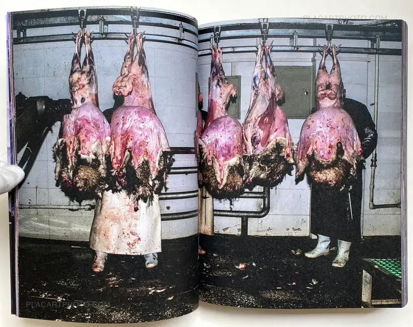 The Second Seeing (Signed copy)