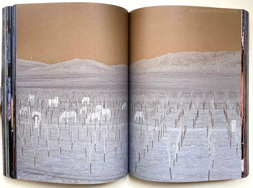 The Second Seeing (Signed copy)