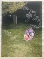 Small Enough To Sit Under A Mushroom (Signed Edt of 30)