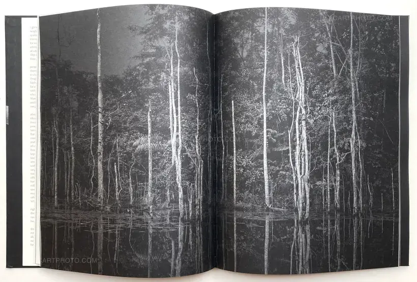 REACHING FOR DAWN (Signed)