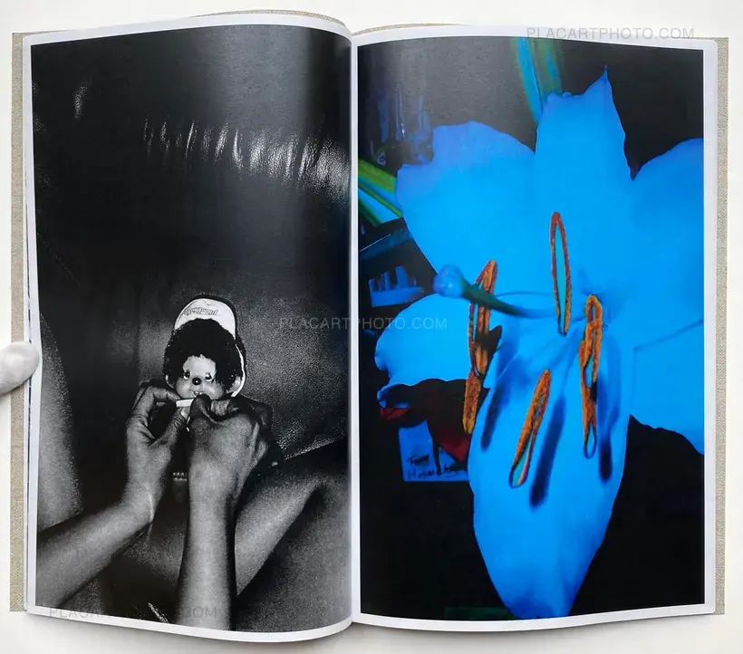 Shinobu (Signed and numbered)