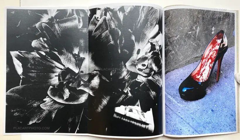 Shinobu (Signed and numbered)